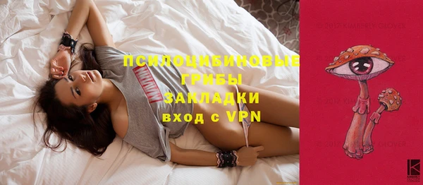 тгк Богданович