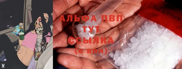 тгк Богданович