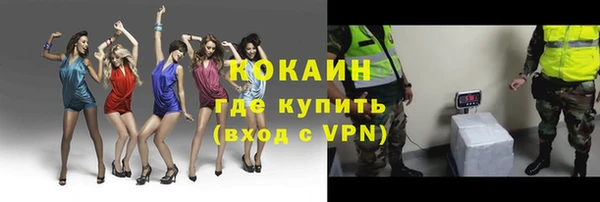 тгк Богданович