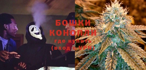 гашик Богородск