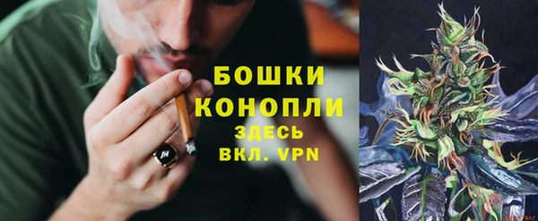 гашик Богородск
