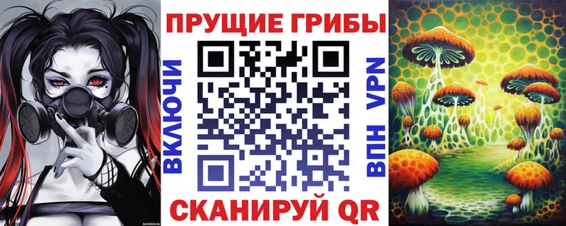 Псилоцибиновые грибы Psilocybine cubensis  закладка  Десногорск 